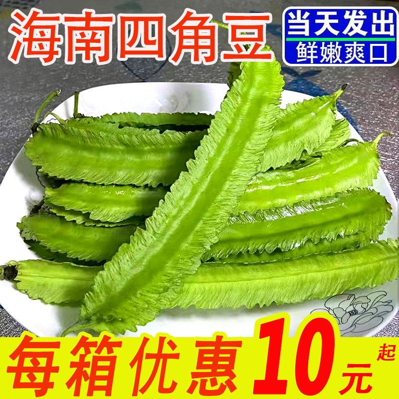 海南豆角四棱豆四角豆龙角豆皇帝豆鲜嫩应季新鲜蔬菜现摘整箱包邮