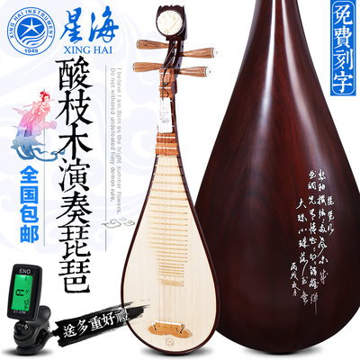 北京星海演奏琵琶乐器成人考级