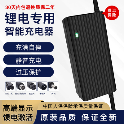 12V锂电池一体机充电器12.6V10A16.8V3A14.6V5A三元铁锂快充通用