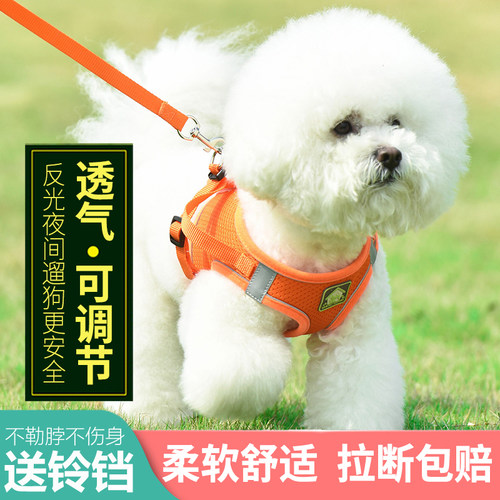 背心式狗狗牵引绳泰迪小型犬比熊博美胸背带小狗幼犬遛狗绳狗链子 - 封面