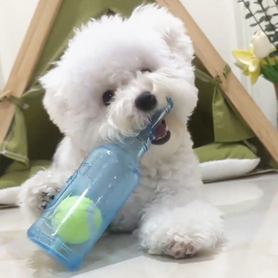 狗狗玩具酒瓶发声磨牙耐咬中小型犬泰迪比熊柯基宠物益智网球瓶子