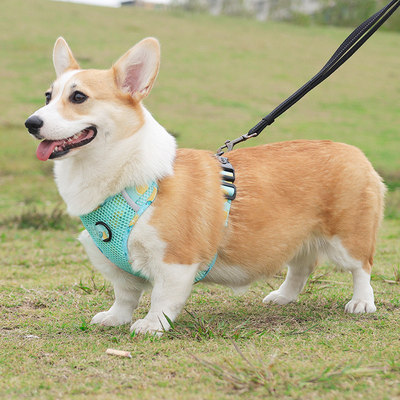 狗牵引绳中大型犬柯基金毛胸背带