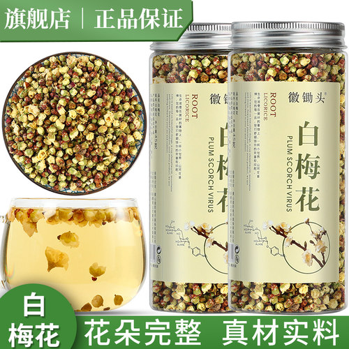徽锄头白梅花45g绿萼梅