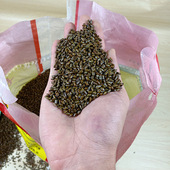 做枕芯用 包邮 100斤决明子玩具沙子家用批量发散装 儿童游乐场沙池