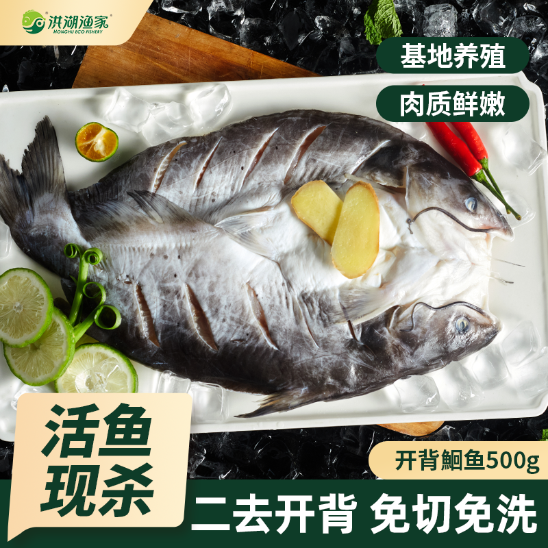 洪湖渔家新鲜开背鮰鱼冷冻清蒸红烧烧烤无小刺适宜儿童老人淡水鱼