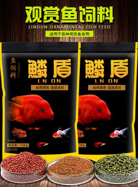 锦鲤小型鱼增艳螺旋藻血鹦鹉