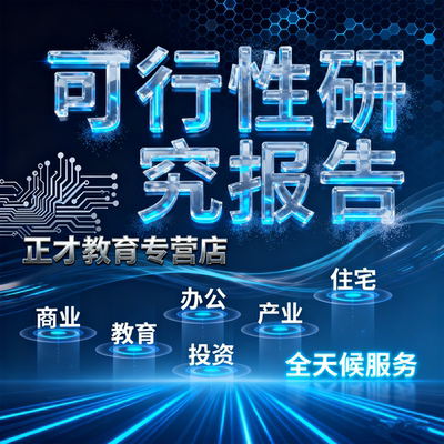 代写项目可行性研究分析报告案例品牌融资投资资料方案可研报告