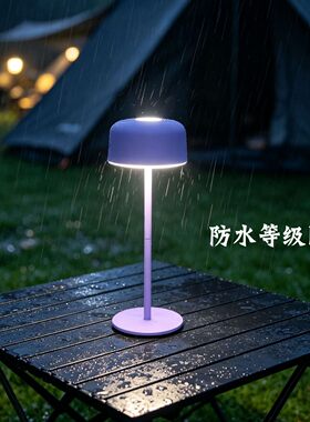 新款小夜灯充插两用氛围灯触摸感应台灯床头书桌吧台装饰台灯卧室