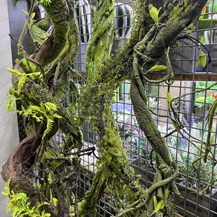 仿真树藤发泡枝条 假藤条带叶芽青苔缠绕墙面吊顶装饰造景枯藤