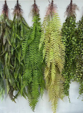 仿真绿植壁挂假花垂吊绿色植物蕨类墙壁管道吊顶装饰蕨叶树根藤条