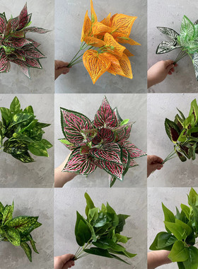 把束仿真绿植绿萝 万年青桃叶黄色紫红色叶子植物墙花箱插花装饰