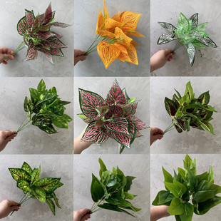 把束仿真绿植绿萝 万年青桃叶黄色紫红色叶子植物墙花箱插花装饰