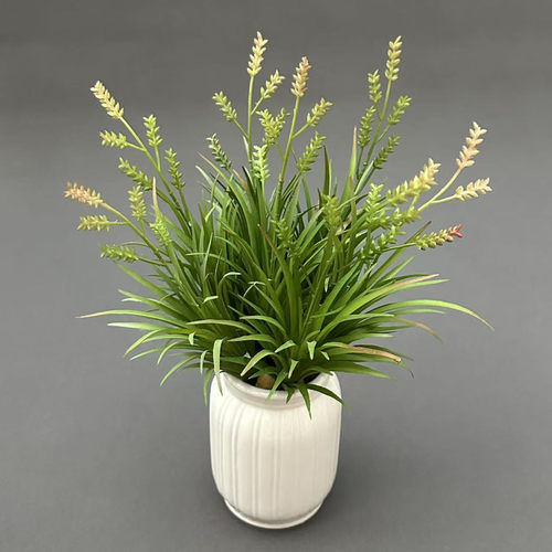 仿真迷你麦穗空气草微景观造景