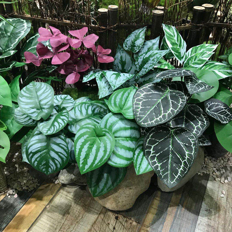 新款仿真绿植12叉把束小盆栽叶子花箱背景墙装饰银雾叶网纹草龟背