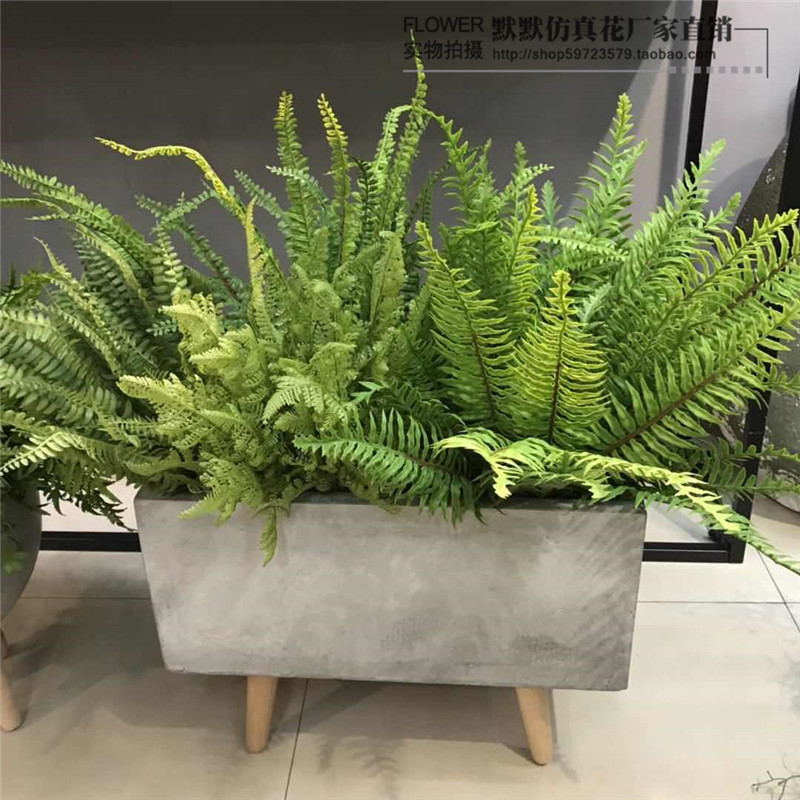 仿真波斯草蕨类 天文冬 植物背景墙花槽摆放插花装饰叶子多款新款