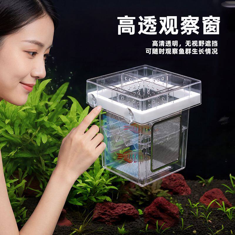 鱼缸隔离盒孔雀鱼玛丽天使鱼繁殖隔离盒50目不锈钢网片不窝水不漏图片
