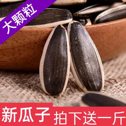 2025生瓜子葵花籽新货大颗粒内蒙生葵瓜子新鲜五斤装包邮散装特产