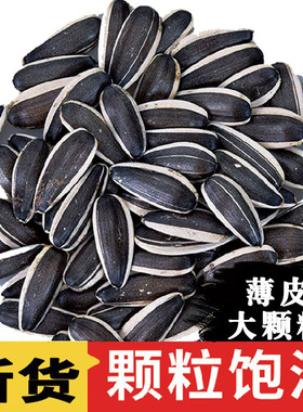 生瓜子葵花籽新货薄皮363特大颗粒内蒙古5斤散装新鲜现炒原味瓜子