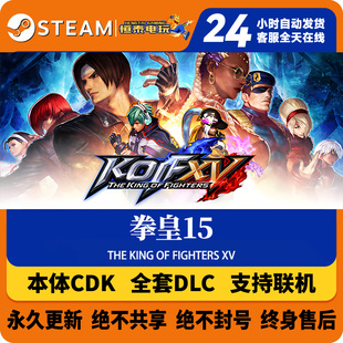 Steam正版国区标准版CDKEY租号/拳皇15/全套DLC解锁/本体激活码