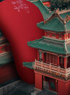 CoolisT顾乐仕天然生物基 花生喜枕 结婚喜庆婚嫁成人囍字红枕头