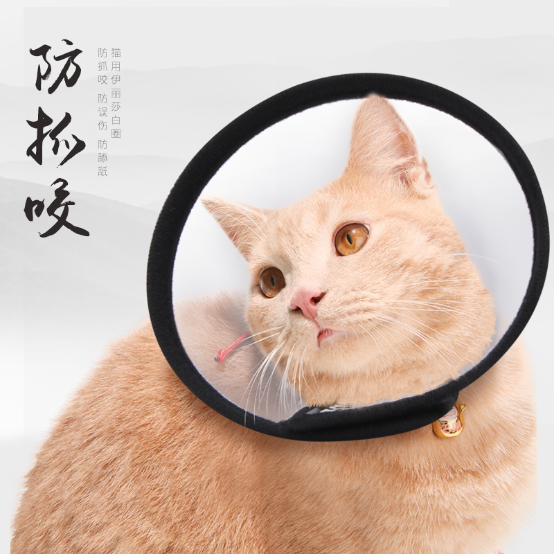 伊丽莎白圈猫项圈猫咪脖套猫防舔耻辱圈猫颈圈头罩头套防咬圈用品