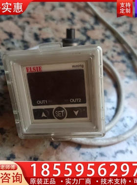 ELSIE压力表P20V-02-F1(1个) 【议价】