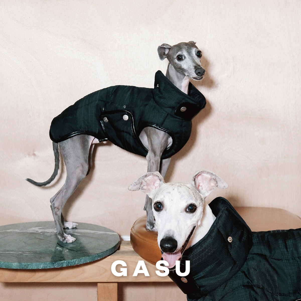 GASU保暖背心3M面料狗