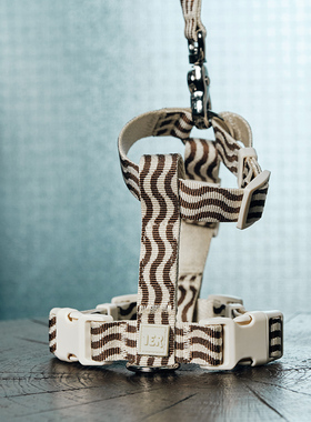 1ERBud宠物夏季胸背牵引轻盈透气工字肩带牵引绳猫狗不勒防挣脱