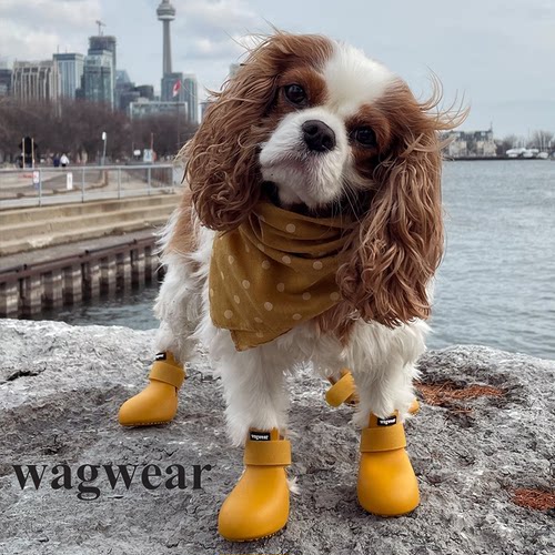 狗鞋Wagwear保护脚掌保暖抗热