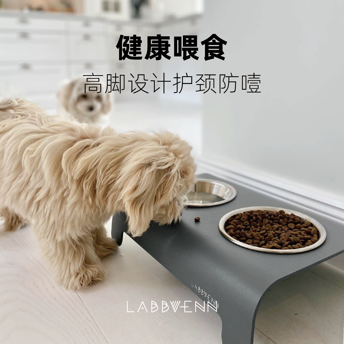 Labbvenn高强度不锈钢宠物碗