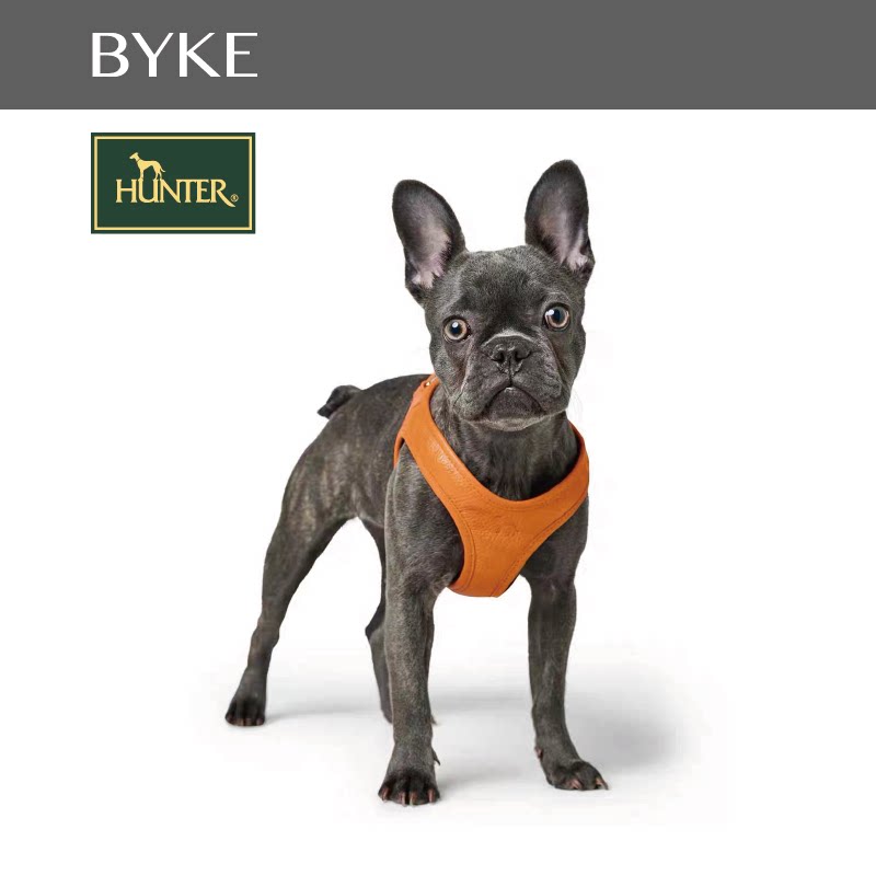 小狗胸背带 hunter德国进口hilo 牛皮马甲 幼犬 小体型犬牵引