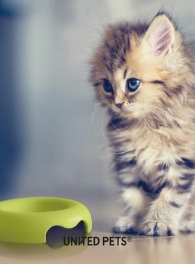 意大利原装进口United Pets防滑宠物碗食盆水碗莫兰迪色 kitty碗