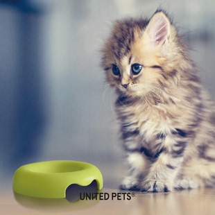 意大利原装进口United Pets防滑宠物碗食盆水碗莫兰迪色 kitty碗
