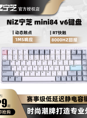 NiZ宁芝 PLUM84proV2V6X99GT静电容电竞键盘赛事级8000hz 真实1ms