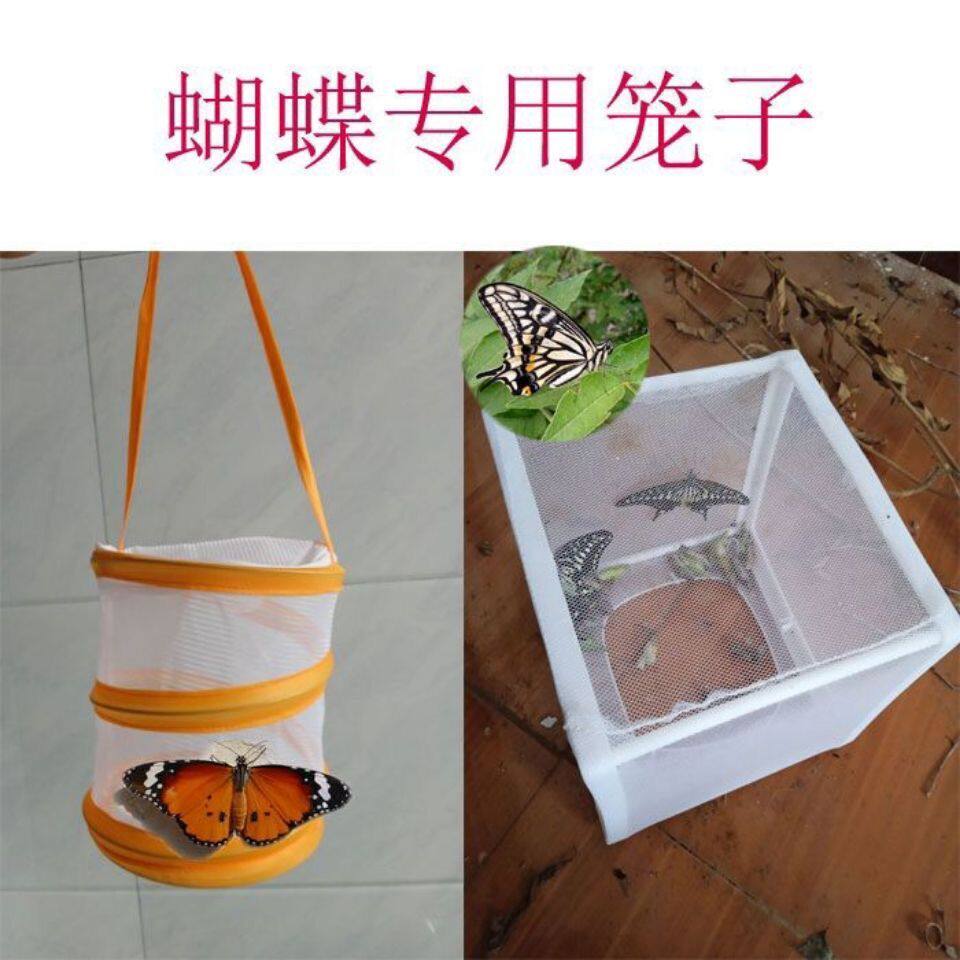 活体蝴蝶笼子大尺寸笼
