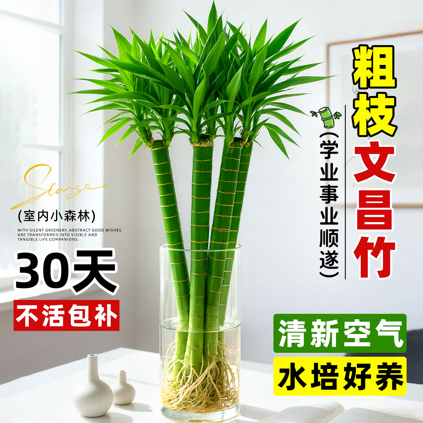 金榜题名招财旺宅！四支文昌竹