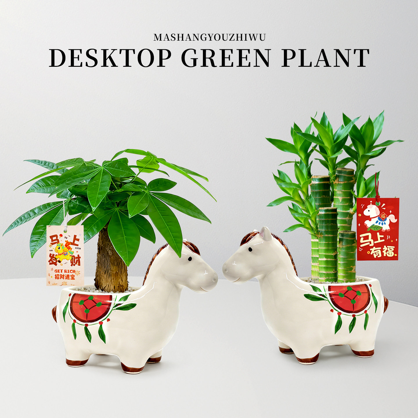 马上有钱盆栽发财树富贵竹绿植盆景植物小马摆件办公室内桌面精品,鲜花速递/花卉仿真/绿植园艺,绿植,淘宝优惠券,粉丝福利购,淘宝优惠卷