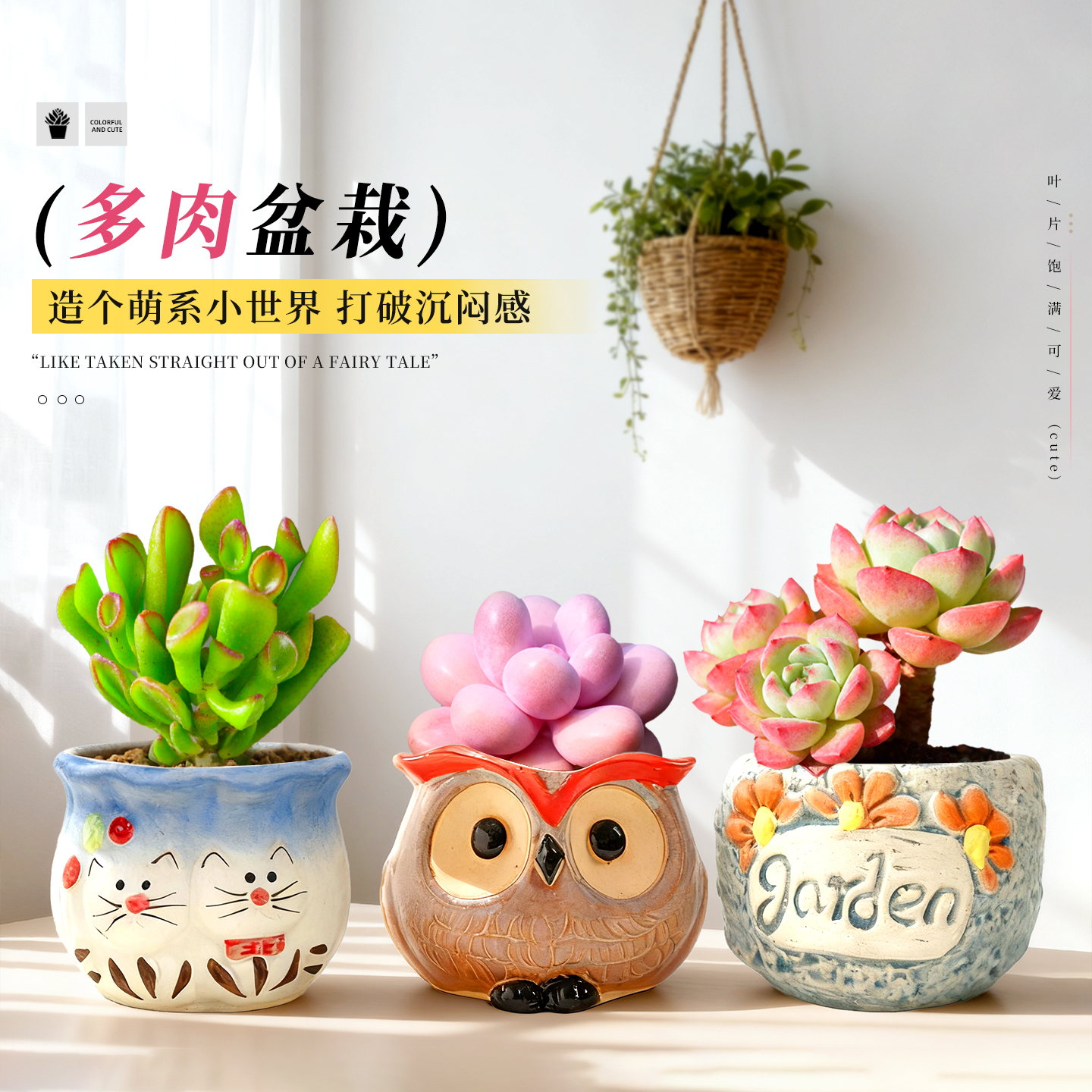 多肉小盆栽植物组合办公桌室内陶瓷花盆大株老桩精品绿植稀有品种,鲜花速递/花卉仿真/绿植园艺,多肉植物,淘宝优惠券,粉丝福利购,淘宝优惠卷