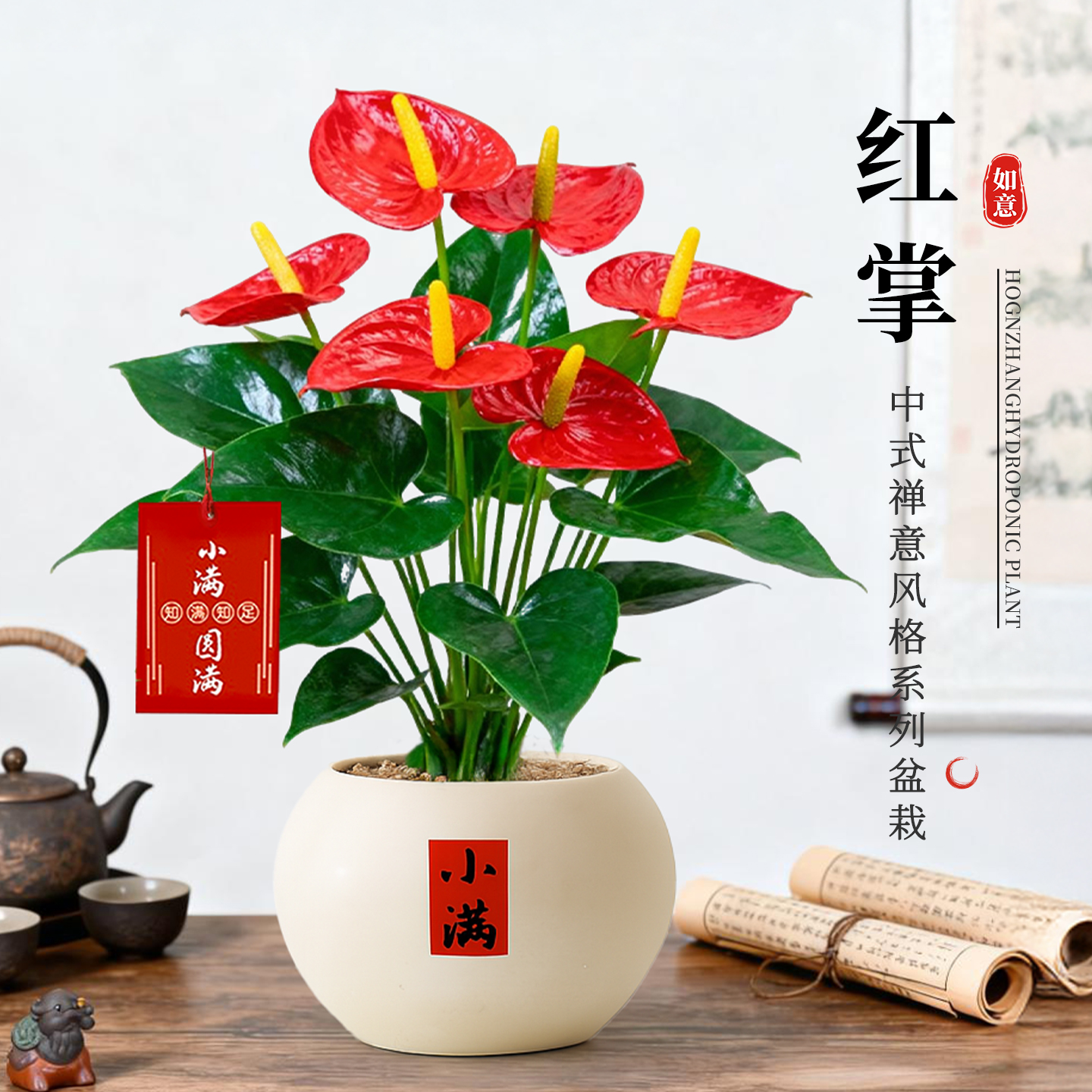 红掌盆栽带花室内客厅桌面办公室工位花卉绿植摆件四季造景小盆景