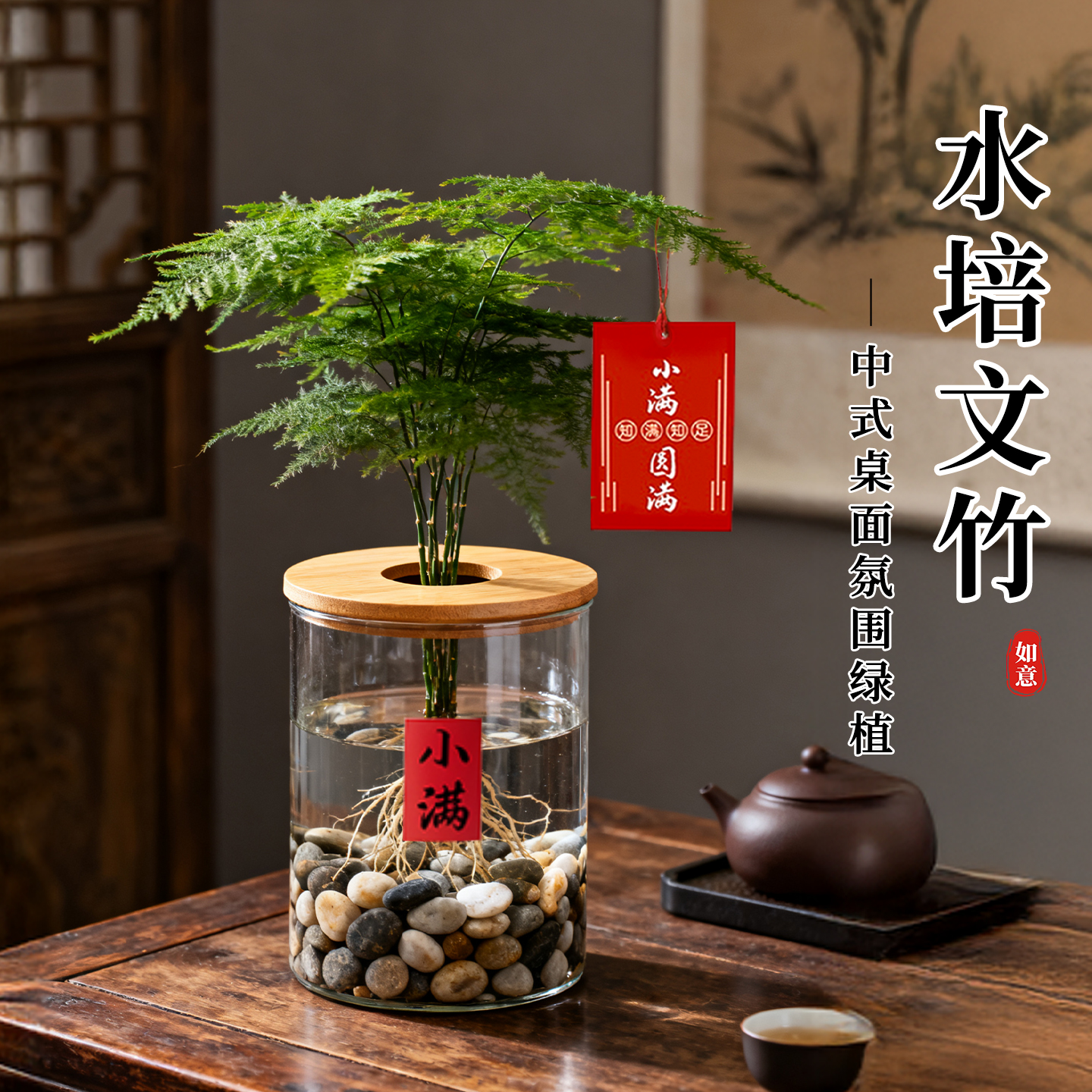 水培植物文竹盆栽幼儿园绿植室内
