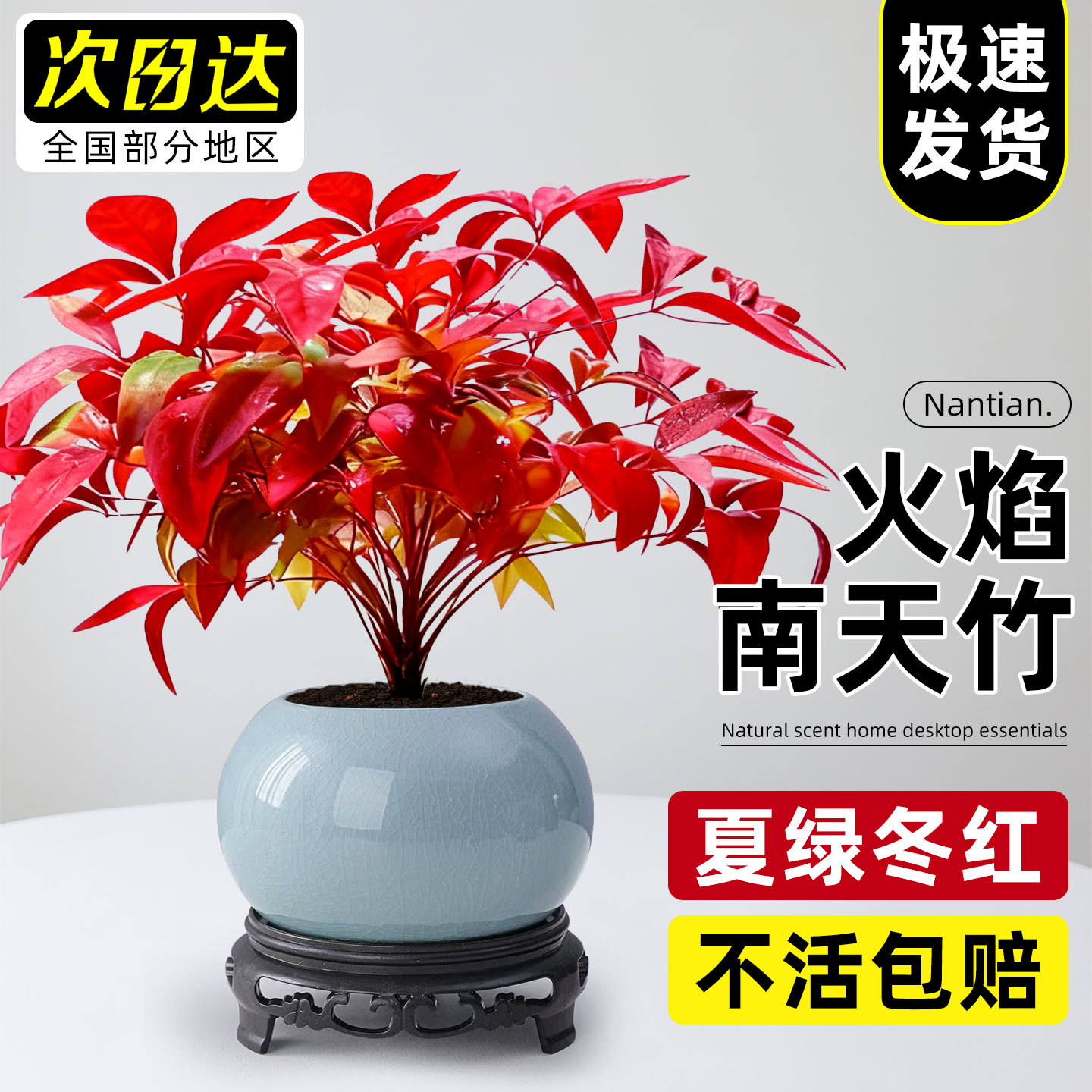 春绿冬红享受四季不同美感