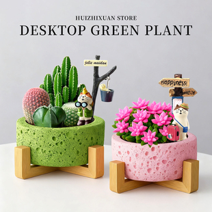 多肉盆栽办公室桌面仙人掌球花卉绿植物室内盆景治愈解压摆件礼物