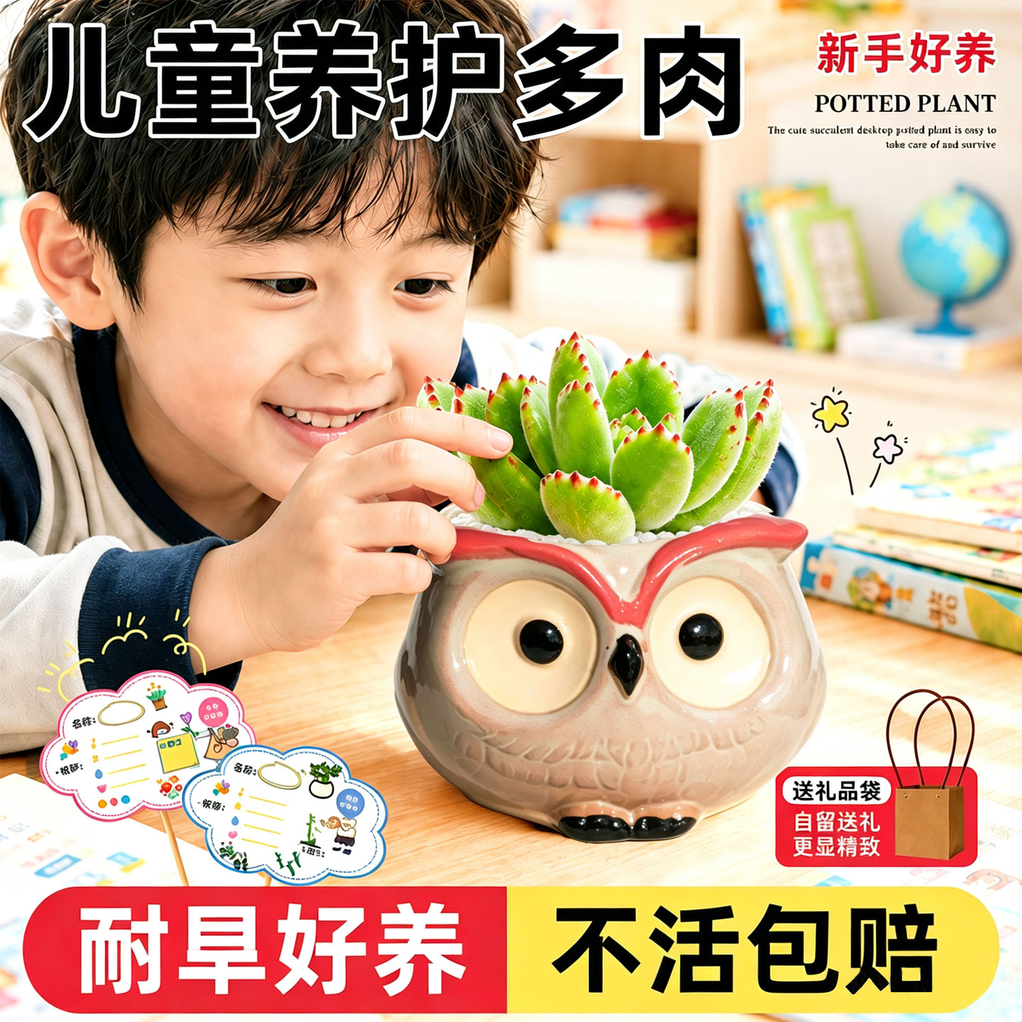 幼儿园小朋友多肉绿植物盆栽肉肉送礼物品高档精致好养活盆景装饰