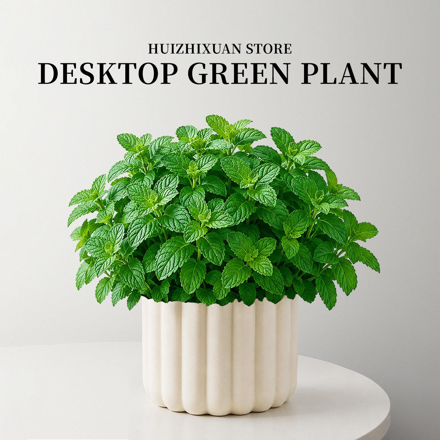 可食用薄荷植物盆栽新鲜高级感盆景香草迷迭香清香木增味食材室内