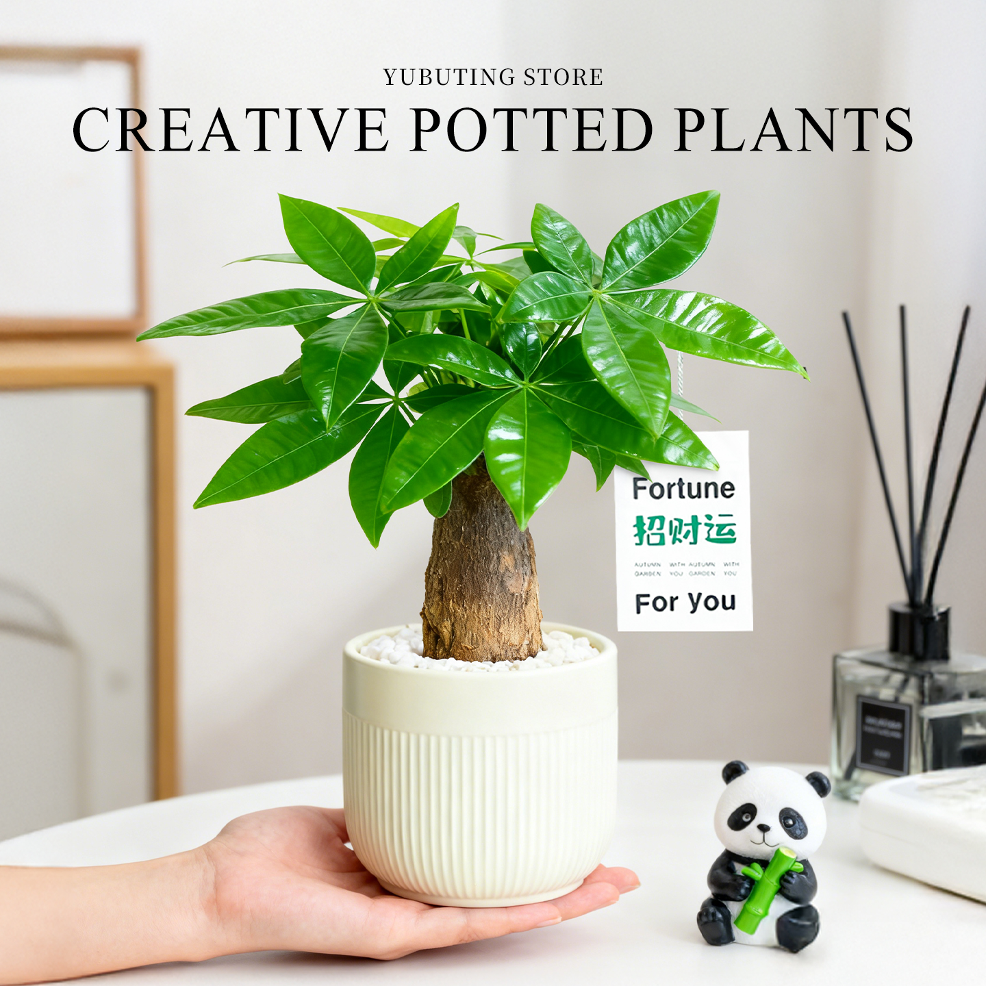 发财树盆栽室内客厅植物办公室桌面工位绿植摆件招财旺宅四季好养