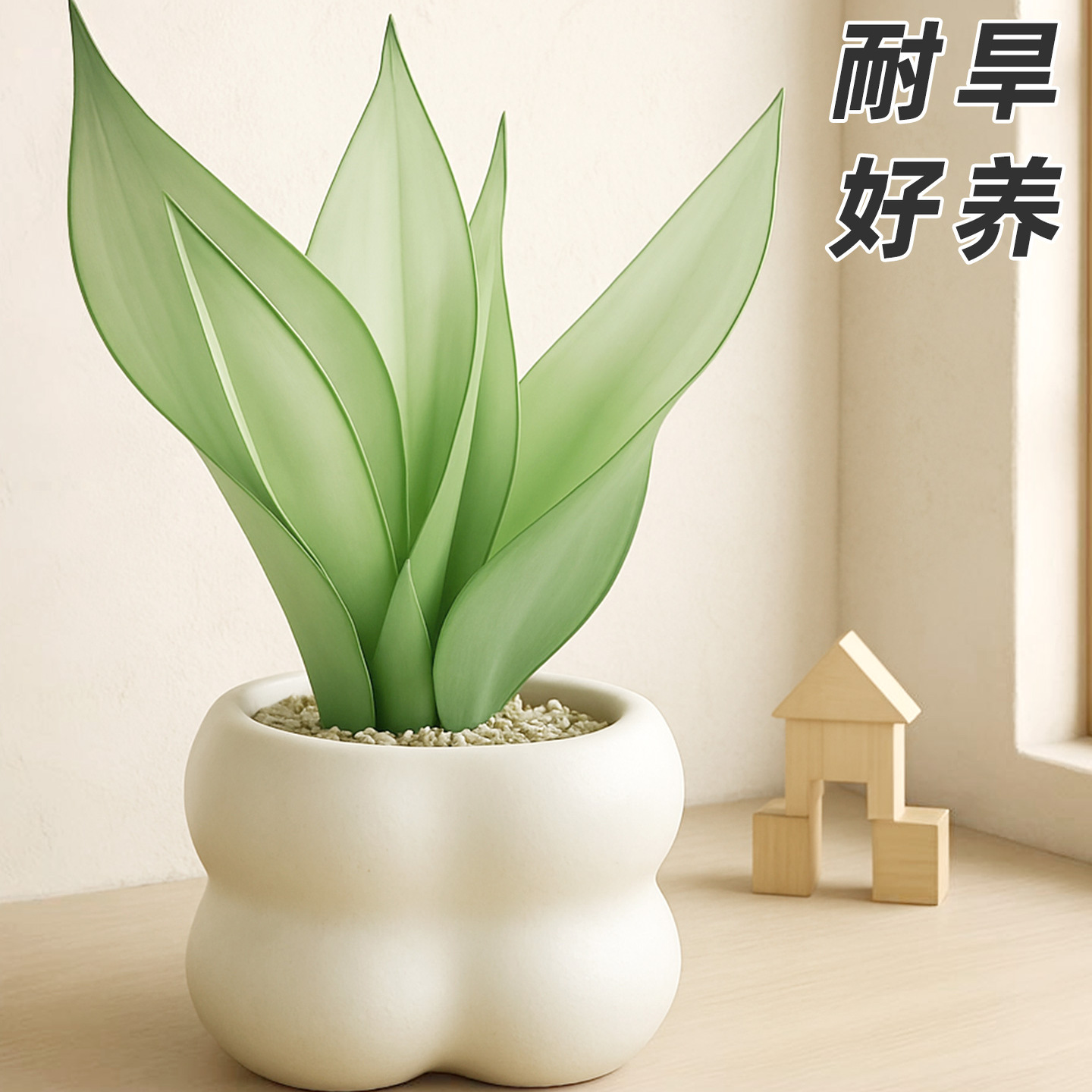 白玉虎皮兰盆栽盆景办公室内工位桌面招财旺宅绿植物摆件四季好养