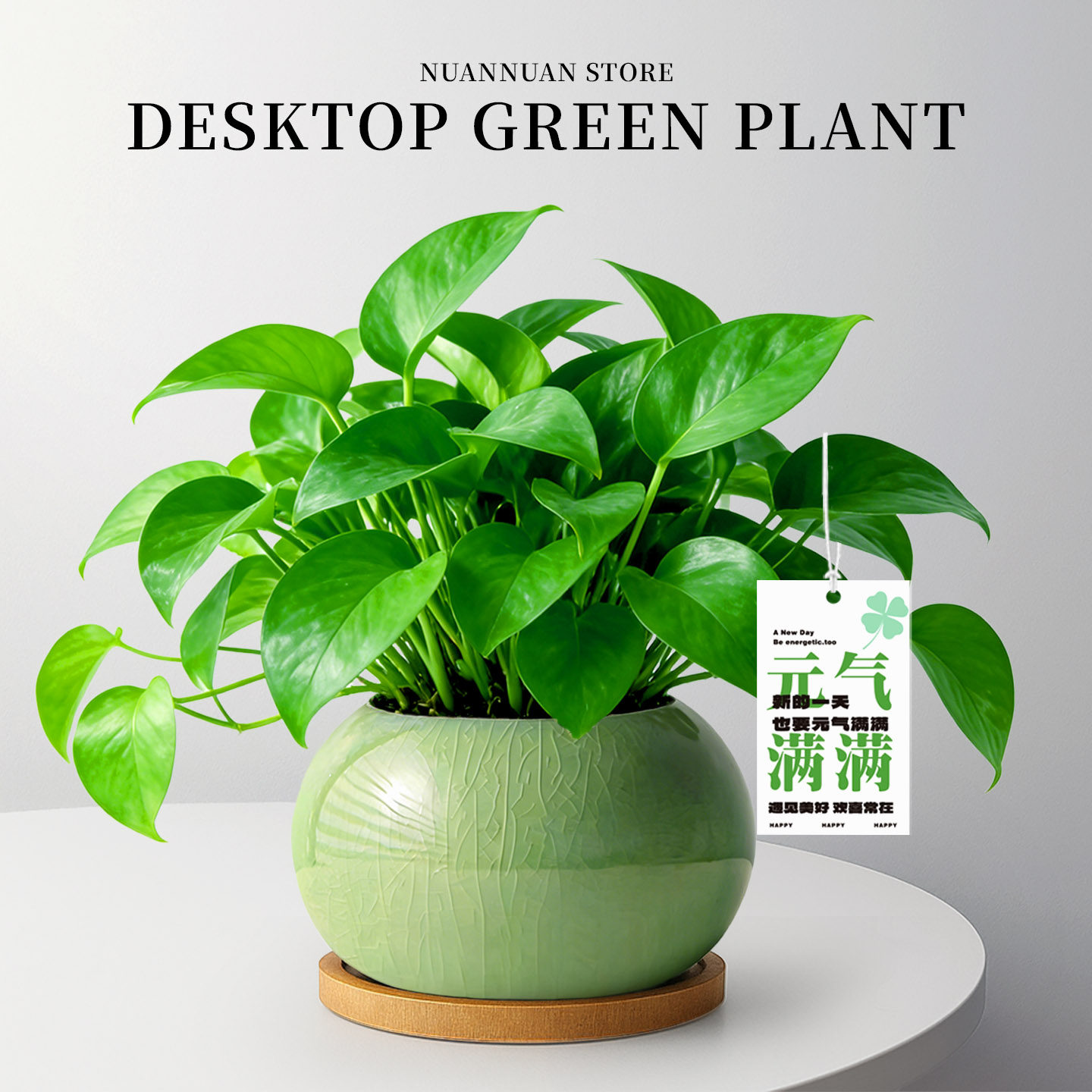 绿萝植物室内吸醛盆栽精致高级精品植物办公室内桌面新家净化空气