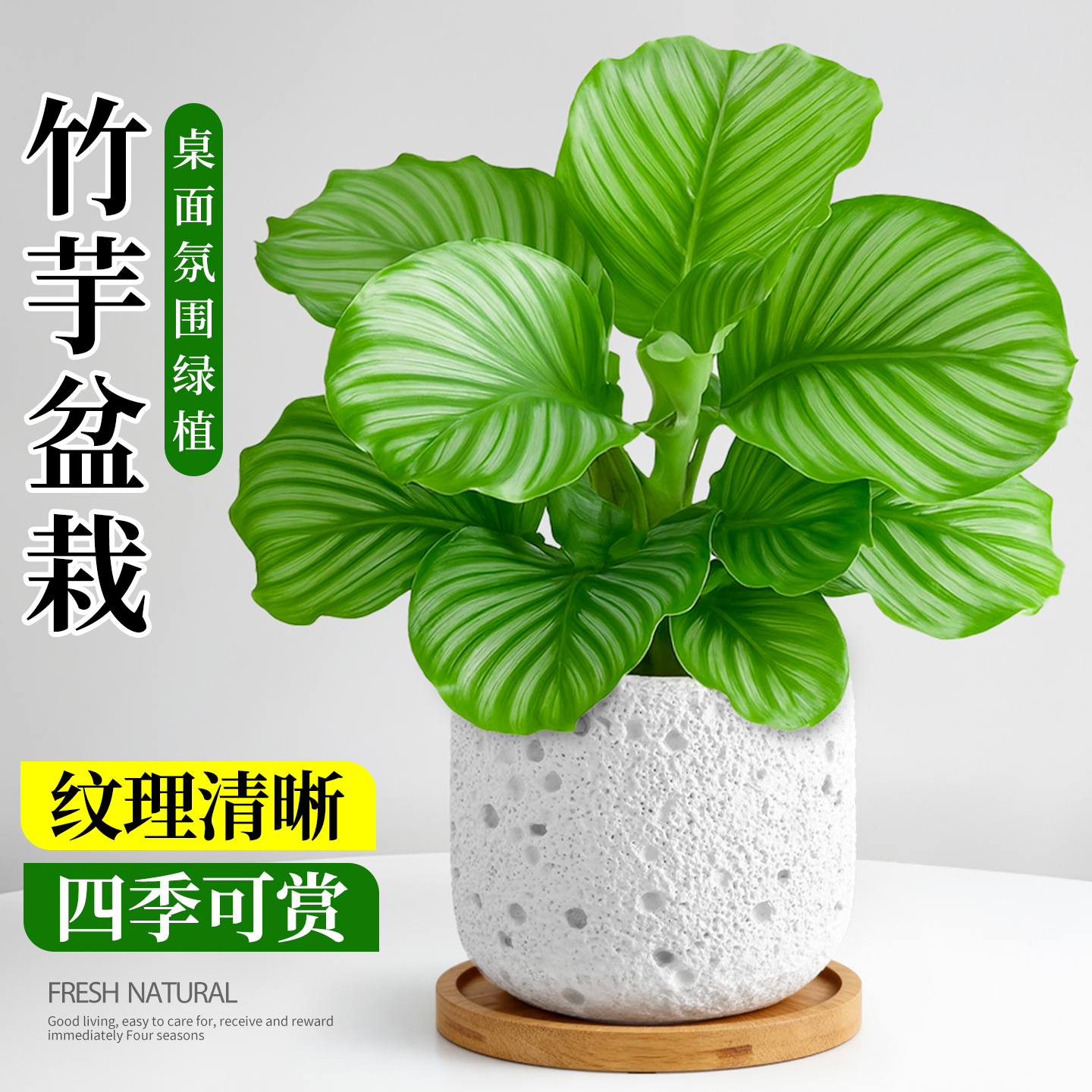 青苹果竹芋盆栽办公室桌面工位情