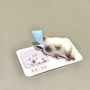 小红书同款正品猫猫pal情绪盲盒2025新款女孩可爱pal猫猫摆件礼物