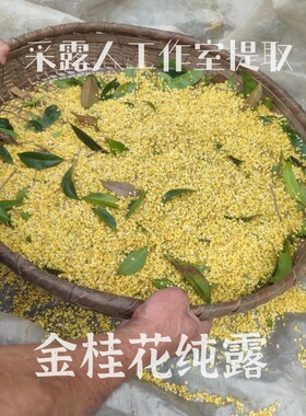 金桂花单方纯露定制工作室鲜花